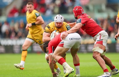 160526 - Scarlets v Dragons RFC, United Rugby Championship - Harrison Keddie of Dragons takes on Joe Roberts of Scarlets and Josh Macleod of Scarlets
