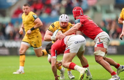160526 - Scarlets v Dragons RFC, United Rugby Championship - Harrison Keddie of Dragons takes on Joe Roberts of Scarlets and Josh Macleod of Scarlets