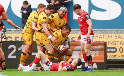 160526 - Scarlets v Dragons RFC, United Rugby Championship - Rio Dyer of Dragons is congratulated by team mates after scoring try