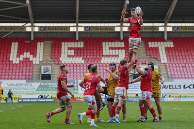 160526 - Scarlets v Dragons RFC, United Rugby Championship - Max Douglas of Scarlets wins the line out