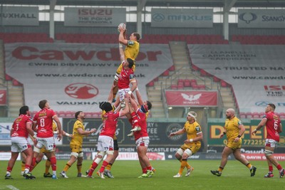 160526 - Scarlets v Dragons RFC - United Rugby Championship - Ben Carter of Dragons wins a lineout