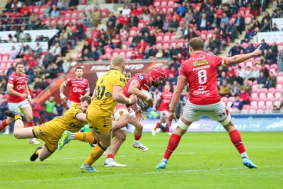 160526 - Scarlets v Dragons RFC - United Rugby Championship - Josh Macleod of Scarlets on the way to scoring a try