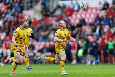 160526 - Scarlets v Dragons RFC - United Rugby Championship - Tinus de Beer of Dragons covers back