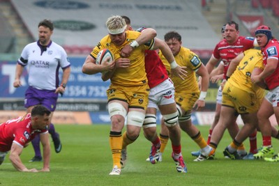 160526 - Scarlets v Dragons RFC - United Rugby Championship - Aaron Wainwright of Dragons on the charge