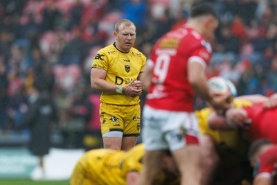 160526 - Scarlets v Dragons RFC - United Rugby Championship - Tinus de Beer of Dragons