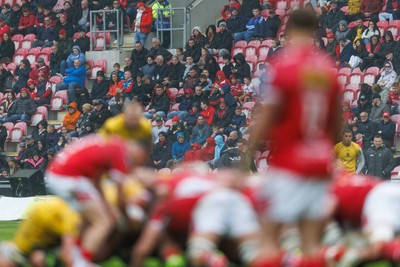 160526 - Scarlets v Dragons RFC - United Rugby Championship - the fans at Parc y Scarlets watch the action