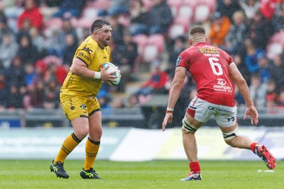 160526 - Scarlets v Dragons RFC - United Rugby Championship - Wyn Jones of Dragons