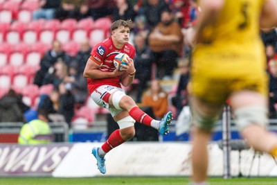 160526 - Scarlets v Dragons RFC - United Rugby Championship - Taine Plumtree of Scarlets takes a restart