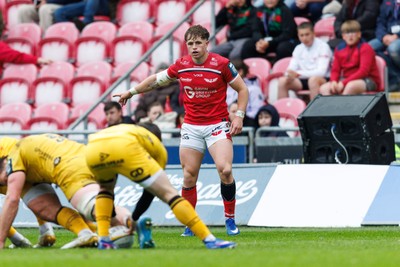 160526 - Scarlets v Dragons RFC - United Rugby Championship - Macs Page of Scarlets