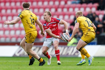 160526 - Scarlets v Dragons RFC - United Rugby Championship - Blair Murray of Scarlets