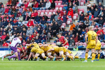 160526 - Scarlets v Dragons RFC - United Rugby Championship - Gareth Davies of Scarlets puts the ball into a scrum