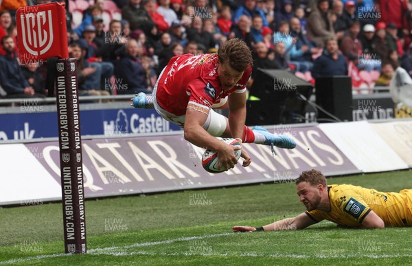 160526 - Scarlets v Dragons RFC, United Rugby Championship - Taine Plumtree of Scarlets dives in to score the opening try