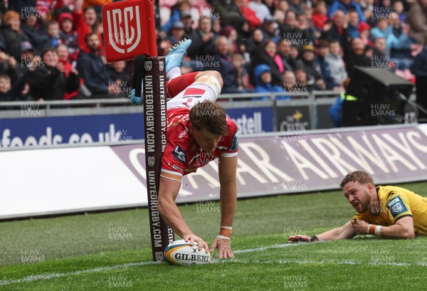 160526 - Scarlets v Dragons RFC, United Rugby Championship - Taine Plumtree of Scarlets dives in to score the opening try