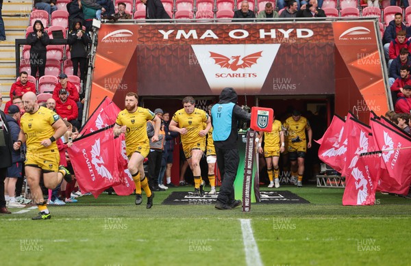 160526 - Scarlets v Dragons RFC, United Rugby Championship - Dragons make their way out at the start of the match