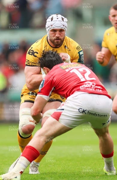 160526 - Scarlets v Dragons RFC, United Rugby Championship - Harrison Keddie of Dragons takes on Joe Roberts of Scarlets and Josh Macleod of Scarlets