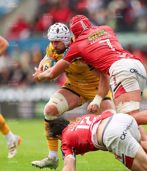 160526 - Scarlets v Dragons RFC, United Rugby Championship - Harrison Keddie of Dragons takes on Joe Roberts of Scarlets and Josh Macleod of Scarlets