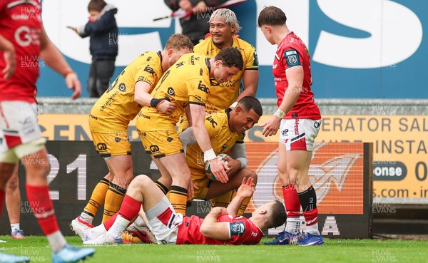 160526 - Scarlets v Dragons RFC, United Rugby Championship - Rio Dyer of Dragons is congratulated by team mates after scoring try