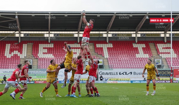 160526 - Scarlets v Dragons RFC, United Rugby Championship - Max Douglas of Scarlets wins the line out