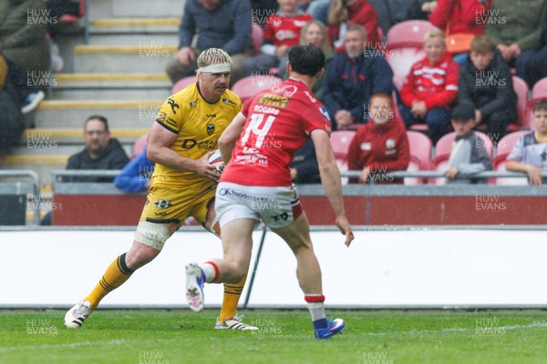 160526 - Scarlets v Dragons RFC - United Rugby Championship - Aaron Wainwright of Dragons goes over for a try