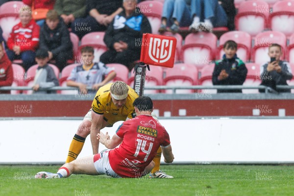 160526 - Scarlets v Dragons RFC - United Rugby Championship - Aaron Wainwright of Dragons scores a try