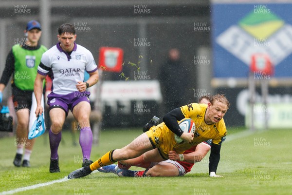 160526 - Scarlets v Dragons RFC - United Rugby Championship - Dai Richards of Dragons is tackled