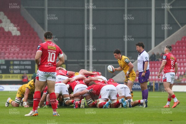 160526 - Scarlets v Dragons RFC - United Rugby Championship - Niall Armstrong of Dragons prepares to put the ball into scrum