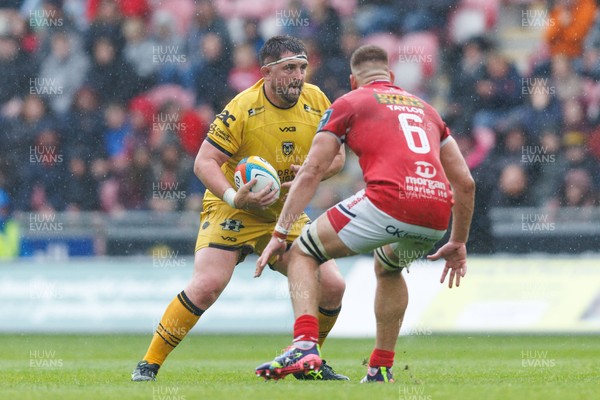 160526 - Scarlets v Dragons RFC - United Rugby Championship - Wyn Jones of Dragons takes on Jarrod Taylor of Scarlets