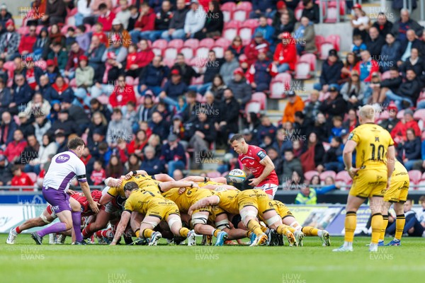 160526 - Scarlets v Dragons RFC - United Rugby Championship - Gareth Davies of Scarlets puts the ball into a scrum