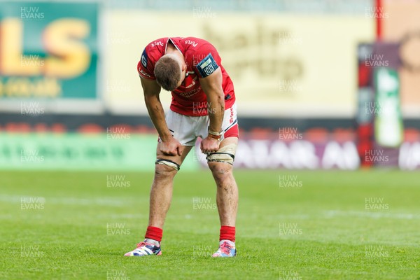 160526 - Scarlets v Dragons RFC - United Rugby Championship - Jarrod Taylor of Scarlets looks dejected at the end of the match