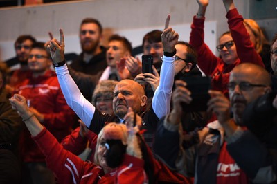 011021 - Scarlets v Emirates Lions - United Rugby Championship - Scarlets supporters celebrate win