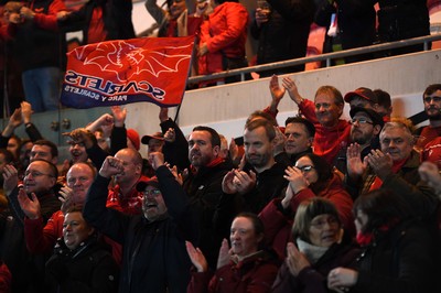 011021 - Scarlets v Emirates Lions - United Rugby Championship - Scarlets supporters celebrate win