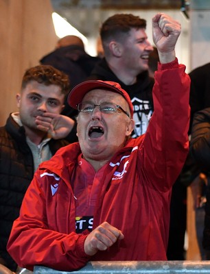 011021 - Scarlets v Emirates Lions - United Rugby Championship - Scarlets supporters celebrate win