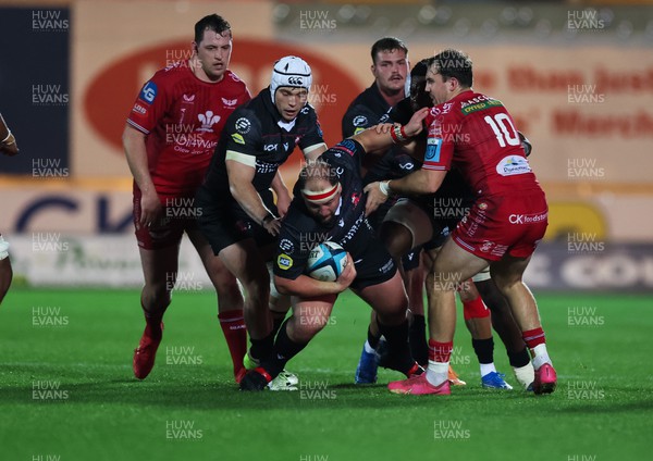 111123 - Scarlets v Emirates Lions, United Rugby Championship - PJ Botha of Lions charges forward