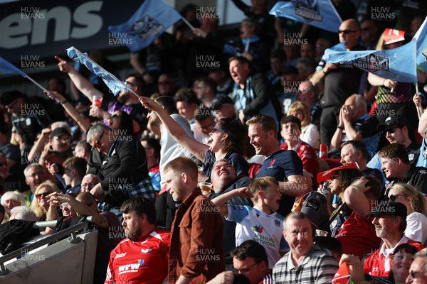 290423 - Scarlets v Glasgow - European Challenge Cup Semi-Final - Glasgow fans