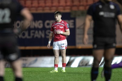 291125 - Scarlets v Glasgow Warriors - United Rugby Championship - Carwyn Leggatt Jones of Scarlets 