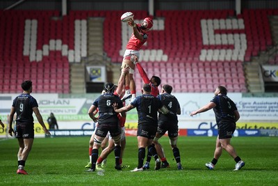 291125 - Scarlets v Glasgow Warriors - United Rugby Championship - Josh Macleod of Scarlets wins the line-out