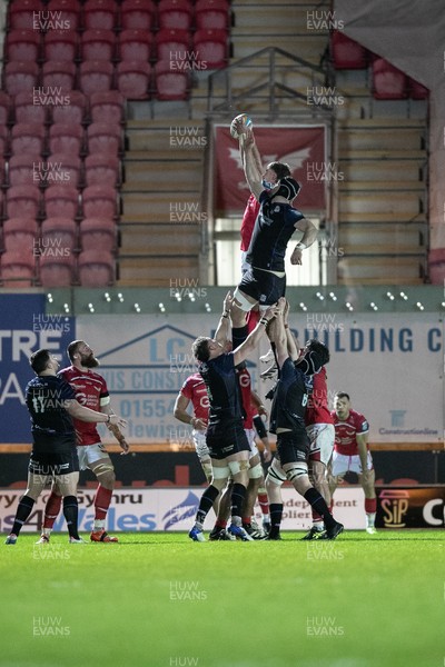 291125 - Scarlets v Glasgow Warriors - United Rugby Championship - Max Douglas of Scarlets wins a line out