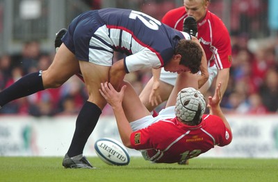 Scarlets v Gloucester 190806