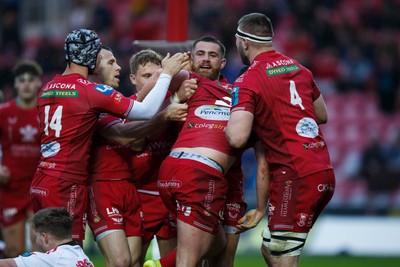 260424 - Scarlets v Hollywoodbets Sharks - United Rugby Championship - Scarlets celebrate after Ryan Elias of Scarlets scores a try