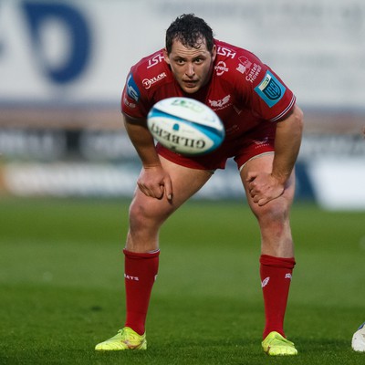 260424 - Scarlets v Hollywoodbets Sharks - United Rugby Championship - Ryan Elias of Scarlets watches the ball