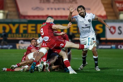 260424 - Scarlets v Hollywoodbets Sharks - United Rugby Championship - Gareth Davies of Scarlets kicks the ball under pressure from Eben Etzebeth of Sharks