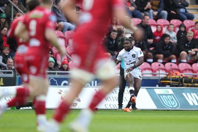 260424 - Scarlets v Hollywoodbets Sharks - United Rugby Championship - Siya Masuku of Sharks kicks for goal