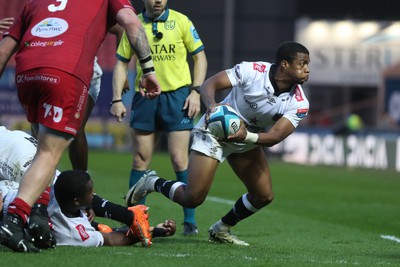 260424 - Scarlets v Hollywoodbets Sharks - United Rugby Championship - Grant Williams of Sharks looks for support