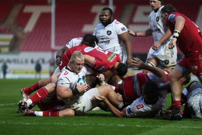 260424 - Scarlets v Hollywoodbets Sharks - United Rugby Championship - Vincent Koch of Sharks is stopped short of the Scarlets line