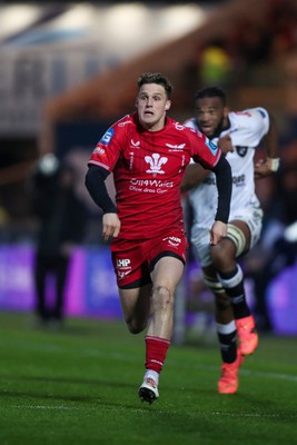 260424 - Scarlets v Hollywoodbets Sharks - United Rugby Championship - Tomi Lewis of Scarlets chases his kick