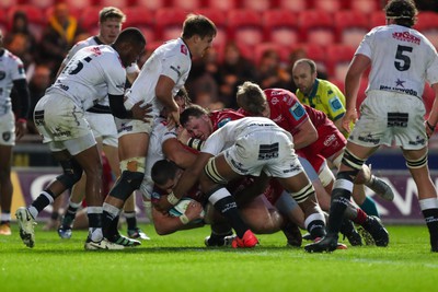 260424 - Scarlets v Hollywoodbets Sharks - United Rugby Championship - Sam Wainwright of Scarlets drives Kemsley Mathias over the try line 