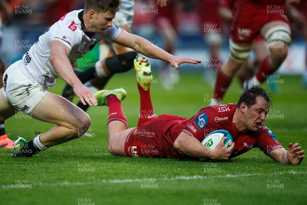260424 - Scarlets v Hollywoodbets Sharks - United Rugby Championship - Ryan Elias of Scarlets dives to score a try
