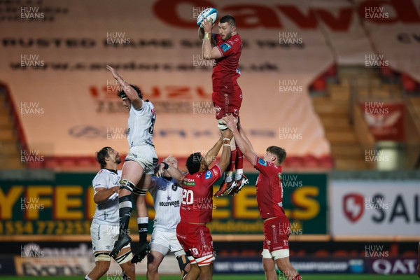 260424 - Scarlets v Hollywoodbets Sharks - United Rugby Championship - Morgan Jones of Scarlets wins a lineout