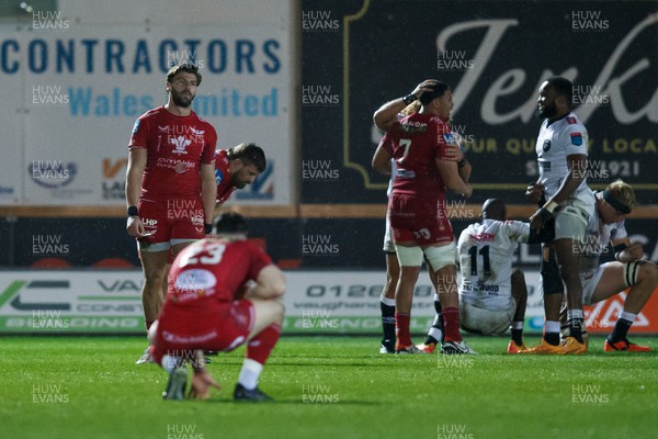 260424 - Scarlets v Hollywoodbets Sharks - United Rugby Championship - Johnny Williams of Scarlets looks dejected at the end of the match