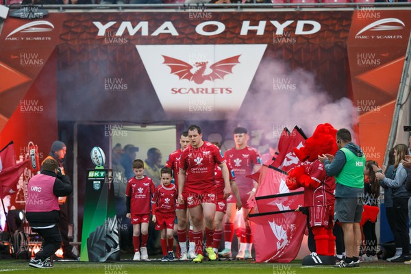 260424 - Scarlets v Hollywoodbets Sharks - United Rugby Championship - Ryan Elias of Scarlets leads his team out